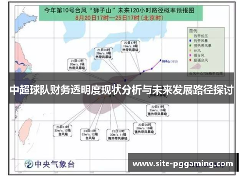 中超球队财务透明度现状分析与未来发展路径探讨