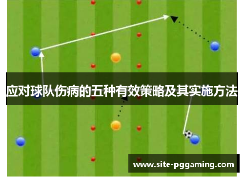 应对球队伤病的五种有效策略及其实施方法
