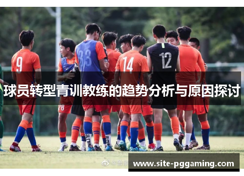 球员转型青训教练的趋势分析与原因探讨
