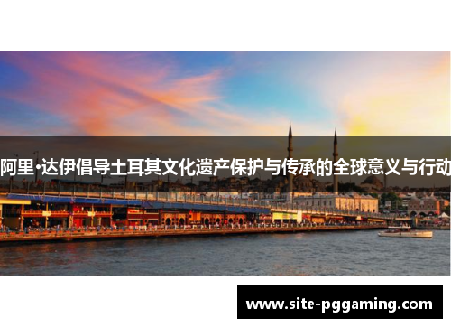 阿里·达伊倡导土耳其文化遗产保护与传承的全球意义与行动