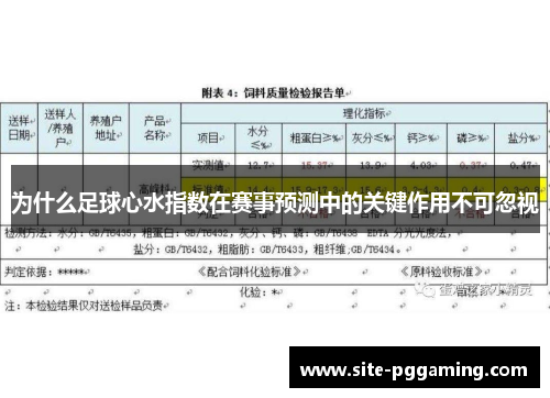为什么足球心水指数在赛事预测中的关键作用不可忽视