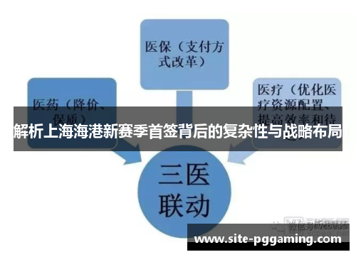 解析上海海港新赛季首签背后的复杂性与战略布局 解析上海海港新赛季首签背后的复杂性与战略布局