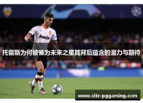 托雷斯为何被誉为未来之星其背后蕴含的潜力与期待