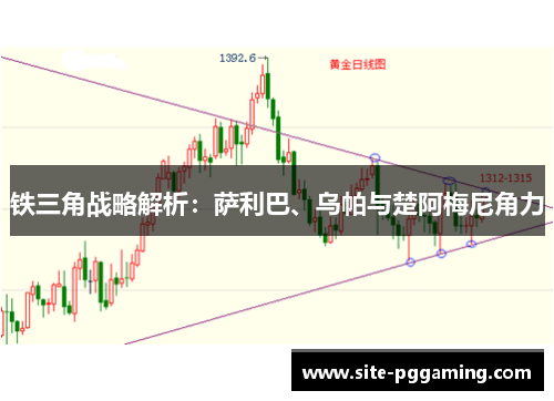 铁三角战略解析：萨利巴、乌帕与楚阿梅尼角力