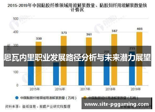 恩瓦内里职业发展路径分析与未来潜力展望